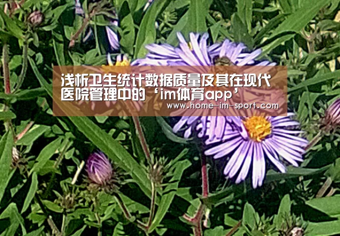 im体育