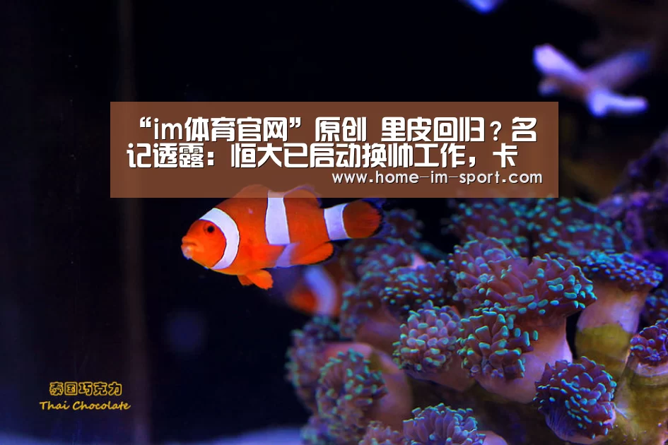 “im体育官网”原创 里皮回归?名记透露:恒大已启动换帅工作,卡帅执掌国足大局已定(图2) im体育投注