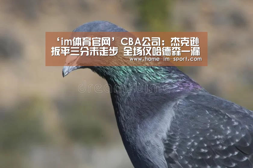 im体育